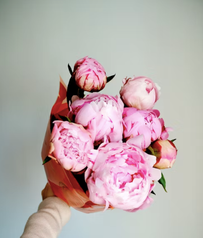 Blush Peony Charm by Florawy